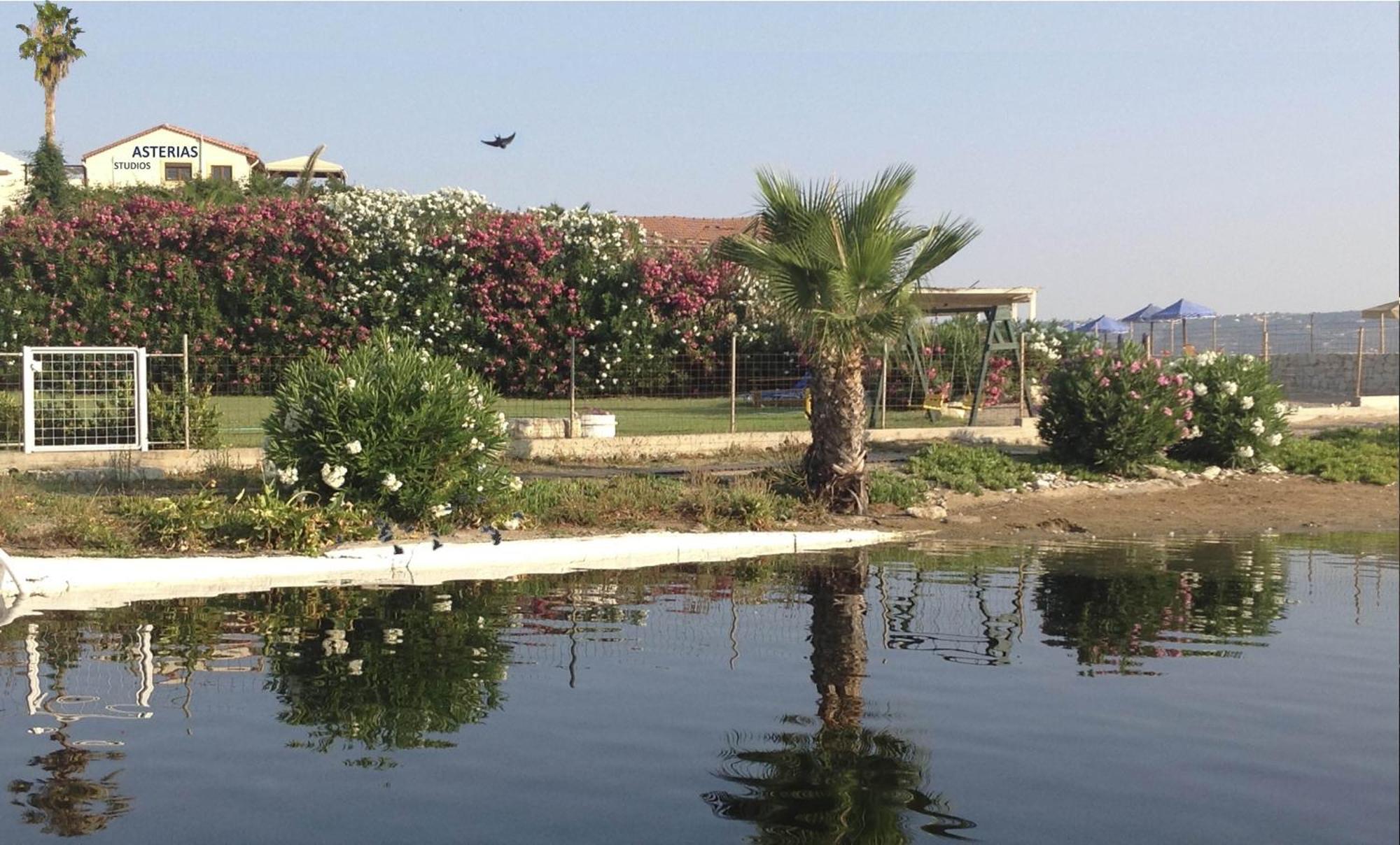 Asterias Studios & Apartments Kalyves Luaran gambar